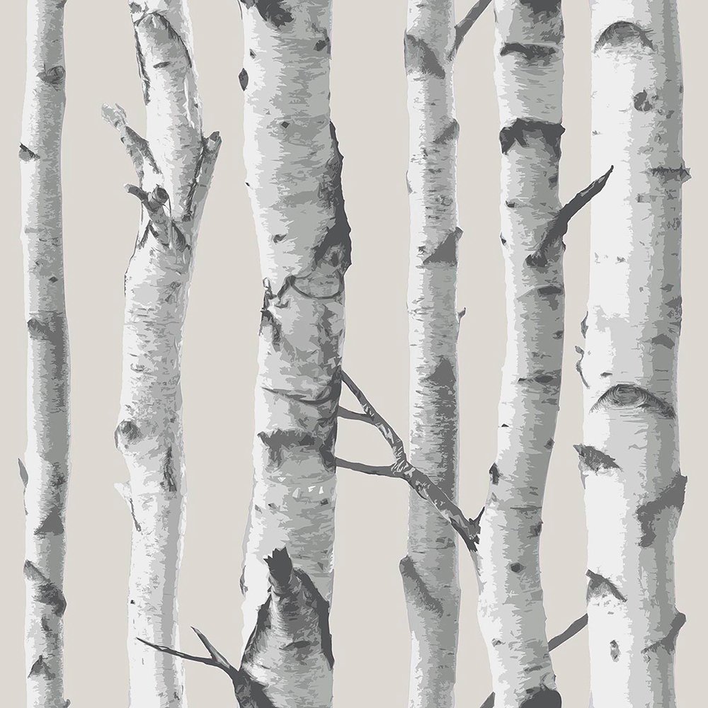NuWallpaper NU1650 "Birch Tree" Peel and Stick Wallpaper, Taupe, 0.1 in*216.0 in*20.5 in