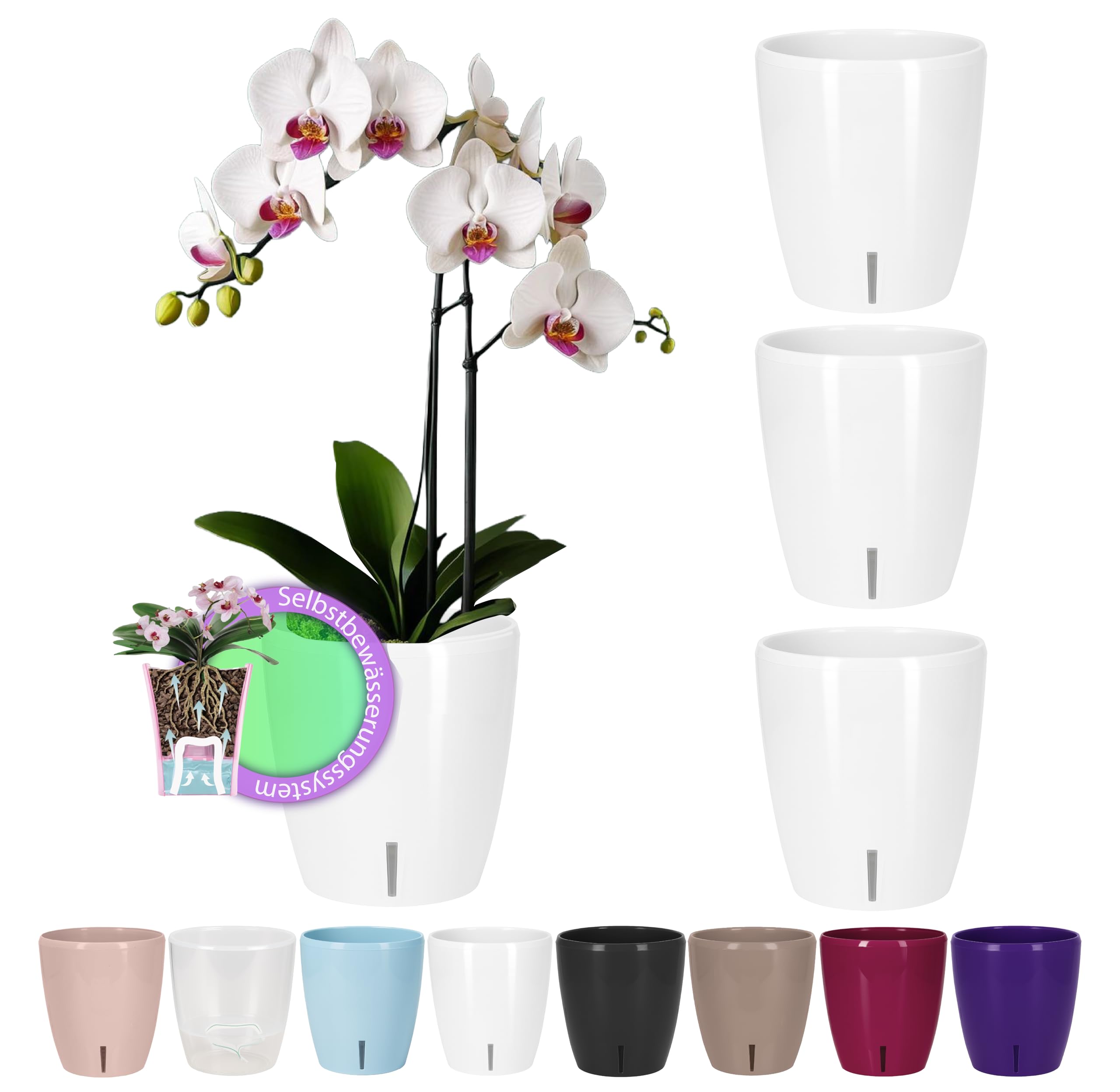 Santino Orchid Pots Diameter 12 cm with Wick System and Water Level Indicator for Indoor Use, White, 1.3 L, Set of 4