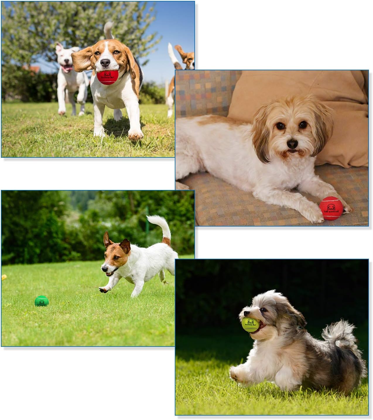 Pet Supplies : PIKASEN Rainbow Tennis Balls for Dogs 2.5" and 2.3" Size 12 Pack 6 Bright Colours Interactive Dog Toys Dog Gift for Large Dogs and Medium Small Dogs : 