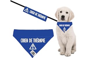 Kit Foulard Bandana et manchon de laisse pour chien CHIEN DE THÉRAPIE se glisse sur le collier 3 grandeurs disponibles (PETIT
