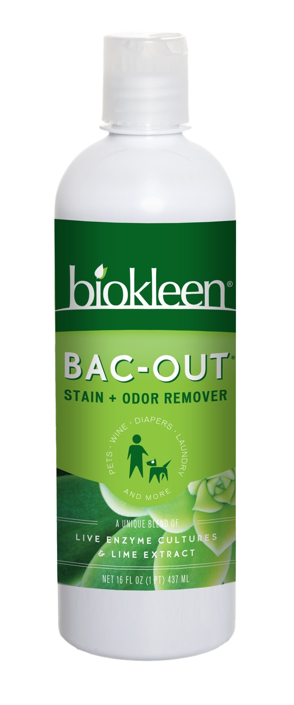 Biokleen BacOut Stain+Odor Remover Foam Spray, Destroys
