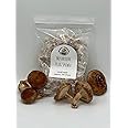 Shiitake mushroom plug spawn 100x
