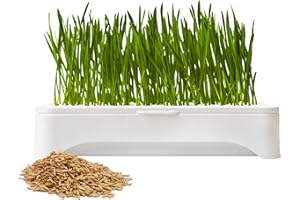 The Environet Cat Grass for Indoor Cats, Cat Grass Kit with Organic Seeds Mix and Hydroponic Sprout Tray, 100% Non-GMO, Hairball Control, Digestion Support, Ideal Gift for Cat Lovers