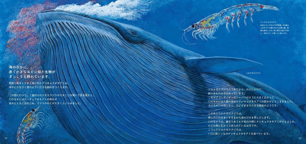 クジラの進化 講談社の創作絵本 水口 博也 小田 隆 木村 敏之 本 通販 Amazon