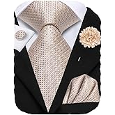 Hi-Tie Mens Tie Set Silk Striped Woven Necktie with Lapel Pin Pocket Square Cufflinks Set for Wedding Party