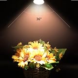 Caldarax 8 Pack MR16 Halogen Bulbs 12V 50W GU5.3 Dimmable 2700K 660LM 36° view 4