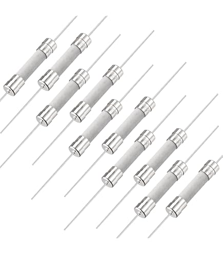 25 Pezzi Fusibile Ceramica 12A 250V - Soffiaggio Rapido, 6x30mm, Per Elettrodomestici E Circuiti