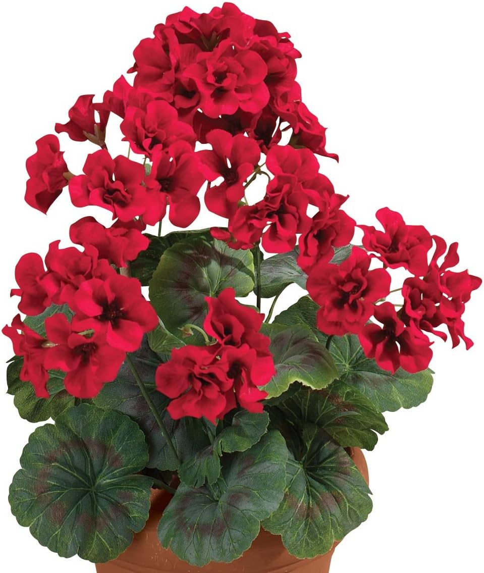 OakRidge Outdoor Geranium Bush, Red