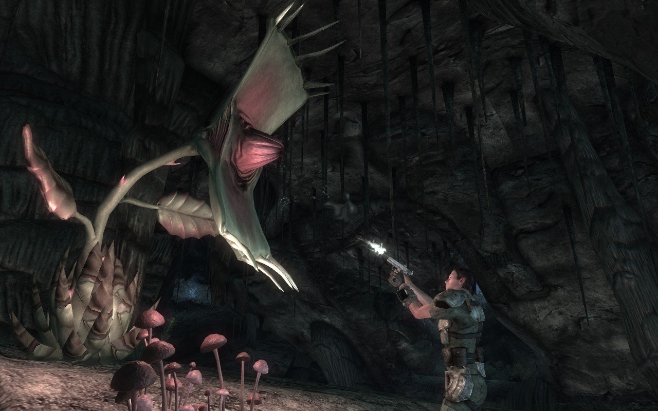 Amazon Com Fallout New Vegas Ultimate Edition Video Games