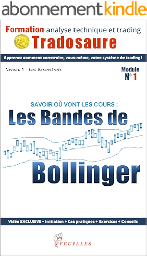 Download Les Bandes de Bollinger : Savoir où vont les cours: Ebook + Vidéo exclusive (Formation à l'analyse technique t. 1) PDF