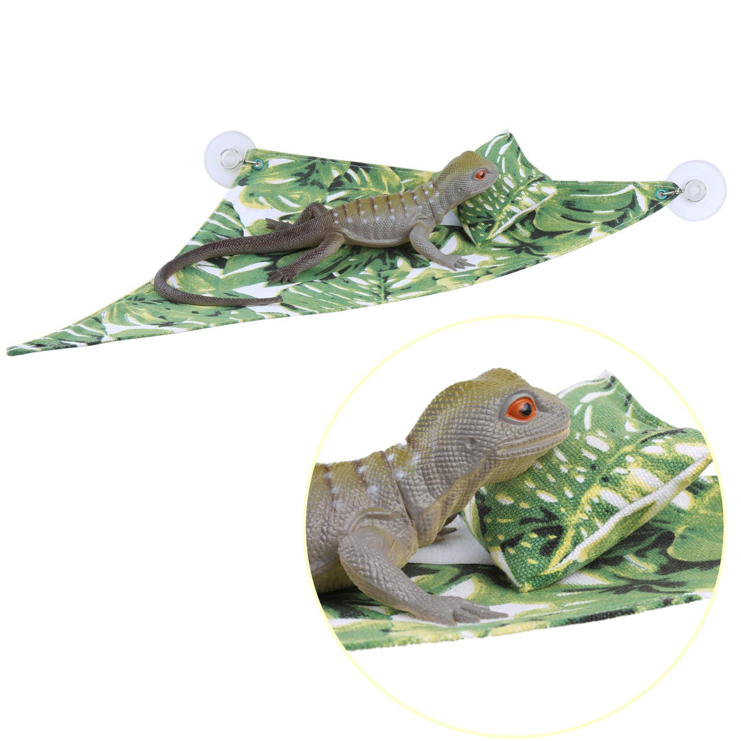 The 10 Best Leopard Gecko Ladder