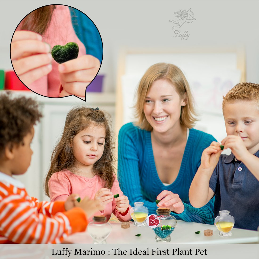 Luffy Heart Marimo - Unique Heart-shaped Rare Live plant that brings good luck, charm & prosperity - Perfect gift for Every Occasion - Win Someone’s Heart today!