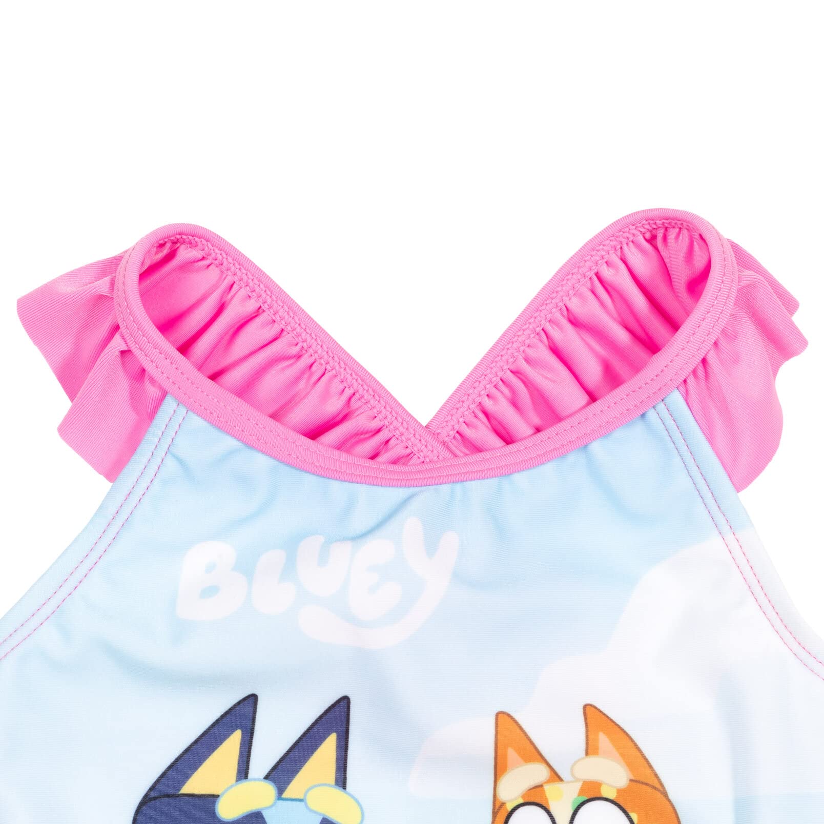 Bluey One Piece Bathing Suit Infant to Big Kid Sizes (18 Months - 10-12)