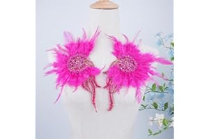 RACOSDM Handmade Beaded Rhinestone Appliques Sew on Crystal Flower Lace Patch Vivid Feather Patch, Multi-Color Pairs for DIY Clothing, Wedding Dress, and Home Decoration (Rose Red)