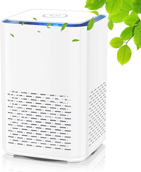 Quared Luftreiniger Mit Echtem Hepa Filter Und Aktivkohlefilter Leiser Usb Luftfilter Mit Aromatherapie Funktion Und Nachtlicht Fur Wohnung Raucherzimmer Amazon De Beleuchtung
