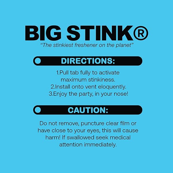BIG STINK ODOR-FIGHTING, CAR AIR FRESHENER VENT CLIP LONG LASTING, LAUNDRY DAY SCENT, 4 COUNT