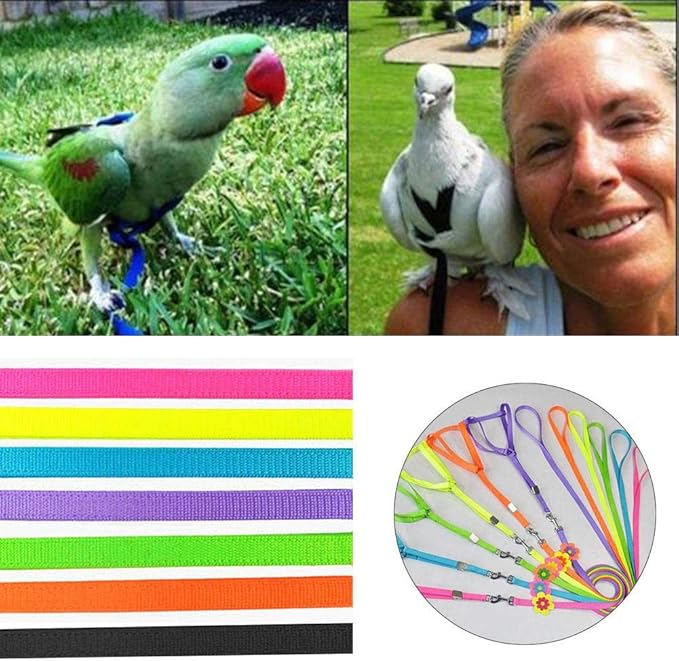 Morningtime Bird Harness and Leash Adjustable Parrot Bird Leash Outdoor Elastic Resistant Leash