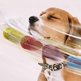 SPORTSPET High Bounce Yellow Dog Balls 6 Pack 60mm Natural Rubber view 9