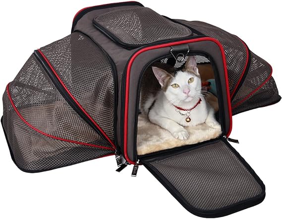 westjet cat carrier