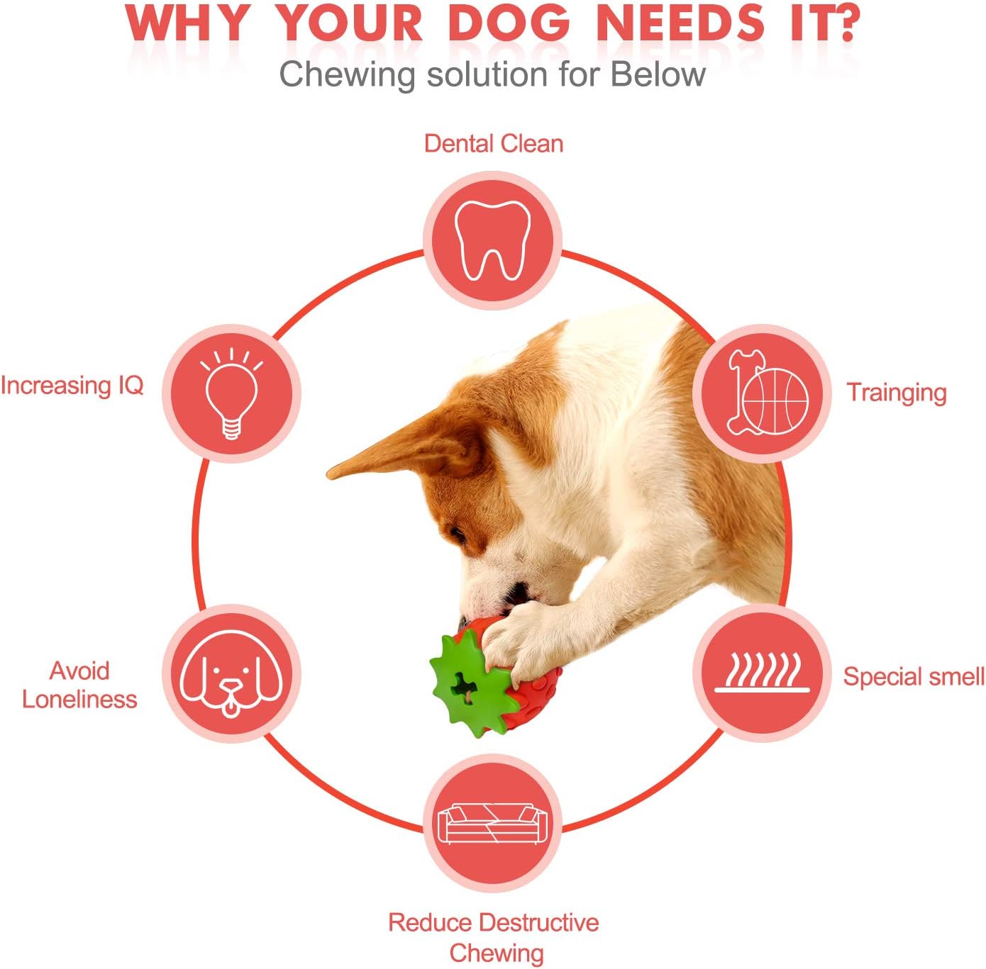 Kitchen & Dining : YOUMI Dog Treat Toy, Dog Chew Toys, Nontoxic Bite Resistant Dog Interactive Toy, Dog Food Leaking, Teeth Cleaning, Strawberry Food Grade Small/Medium/Large Dogs's Toys, IQ Training : 