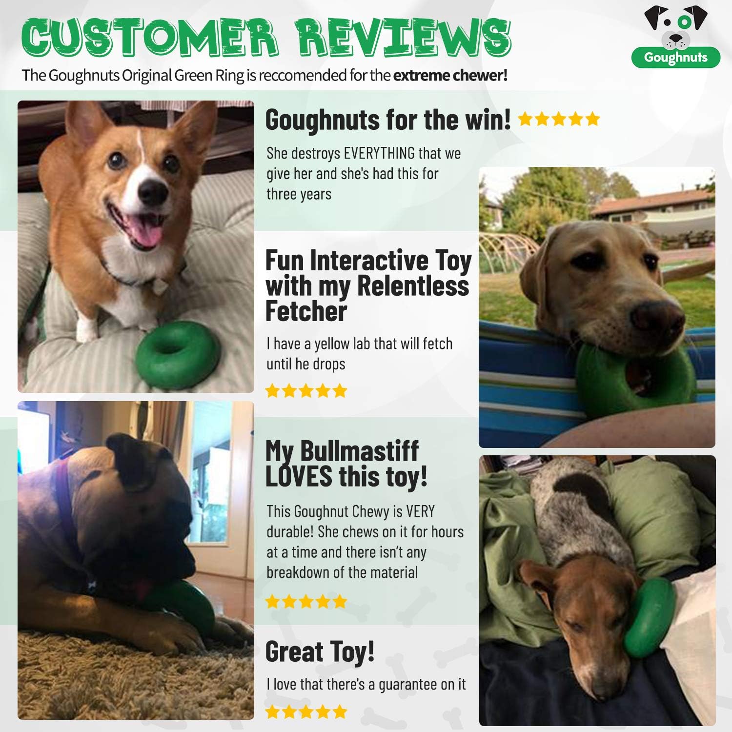 dog destroys toys in minutes