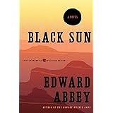 Black Sun: A Novel (Harper Perennial Modern Classics)