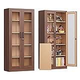 AFAIF Locking Display Cabinet with Glass