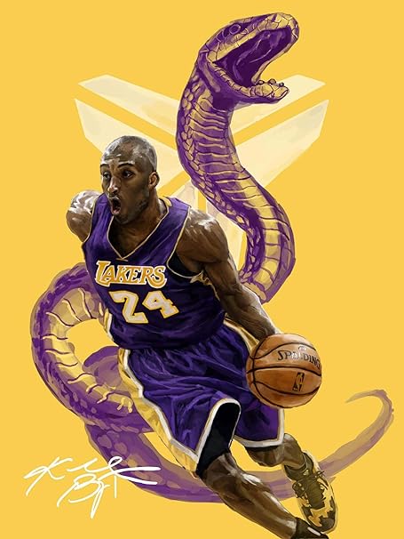 the black mamba basketball