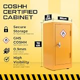 Horison Industries COSHH Fire Proof Storage Cabinet 700x355x305mm view 3