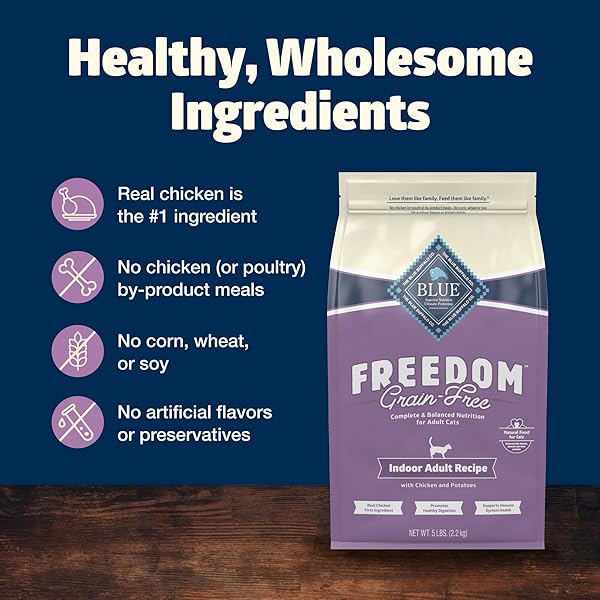 BLUE BUFFALO FREEDOM GRAIN-FREE ADULT DRY CAT FOOD, COMPLETE & BALANCED NUTRITION FOR INDOOR CATS, MADE WITH NATURAL INGREDIENTS, CHICKEN RECIPE, 5-LB. BAG