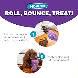 Outward Hound Double Snoop Interactive Treat