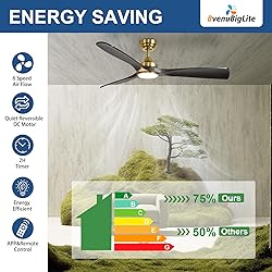 BvenuBigLite Ceiling Fan with Light Modern: 52 Inch
