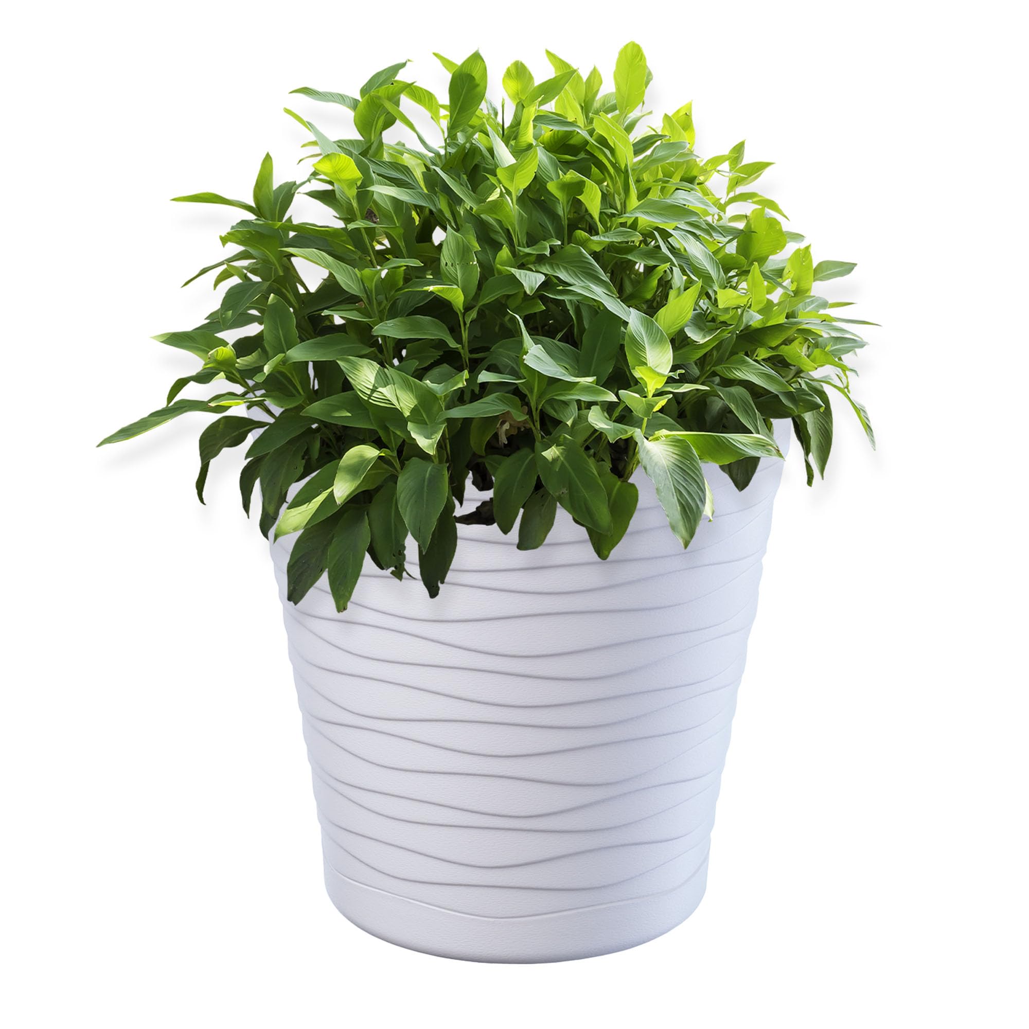 KADAX Plastic Flowerpot, Indoor Plant Pot with Saucer, Lightweight Flower Pot in Several Colours and Sizes, Unique Planter for Houseplants (17 cm, White)