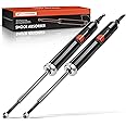 A-Premium Rear Pair (2) Strut Shock Absorber Compatible with BMW 128i 135i 2008-2013 325i 2006 328i 335i 2007-2013 330i 335d 