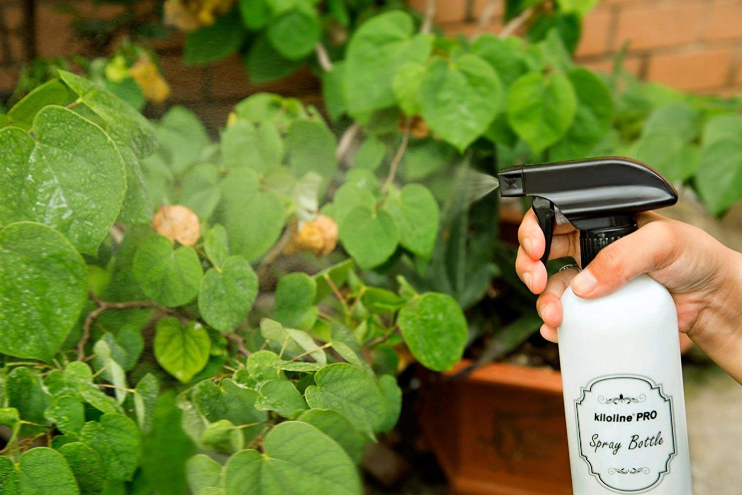 Kiloline Empty PET Plastic Spray Bottles (2-Pack) Refillable 17oz.Black Trigger Sprayer w/Mist/Stream/Off Settings Leakage-proof: Beauty