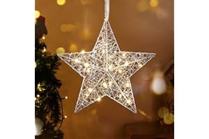 Roylvan Hanging Outdoor Christmas Star Light, Battery Operated LED Porch Light with Beads, Xmas Warm White Lantern Star Hanging Lamp for Indoor Outdoor Holiday Decorative Ornament, Silver
