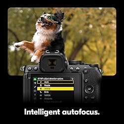 Nikon Z50 II with Two Lenses | Compact mirrorless