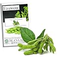 thumbnail image 2 of 20 Organic Midori Giant Soybean Seeds – Edamame, Glycine Max, Home Vegetable Garden 2 of 6