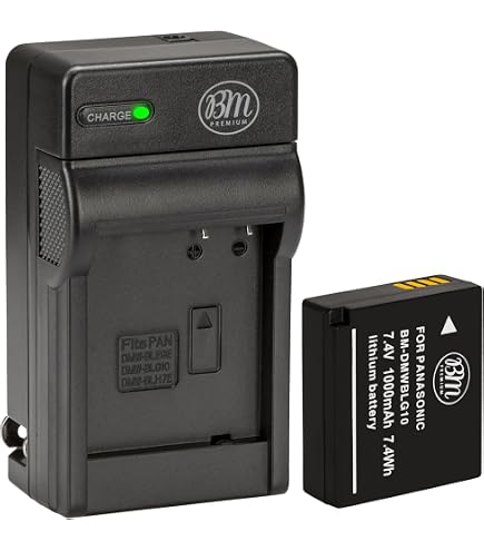 Amazon.com : BM 2 Pack of DMW-BCM13E Batteries and Dual Battery