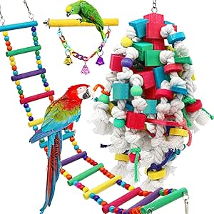buy bird toys