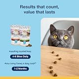ProDen PlaqueOff 60g Salmon Bites Cat Dental Care Bundle view 8