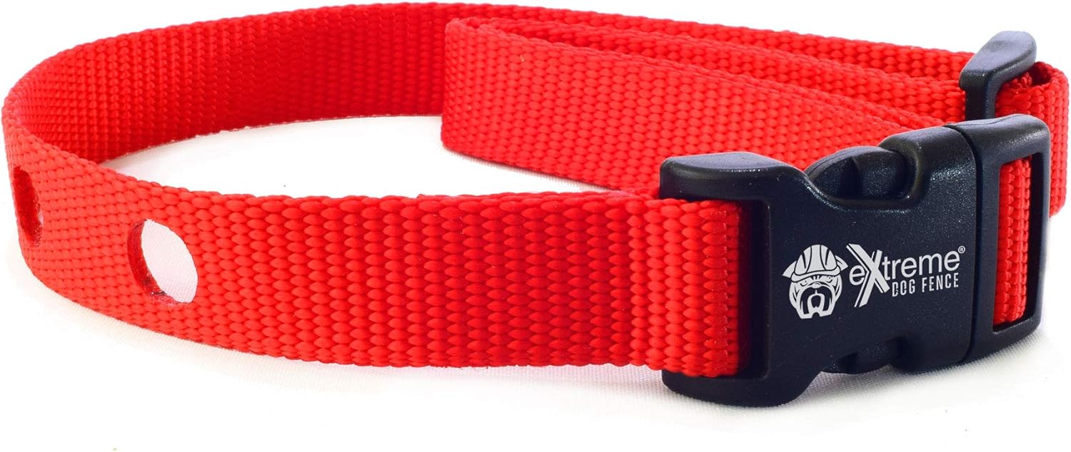 Dogwatch compatible collars Clearance