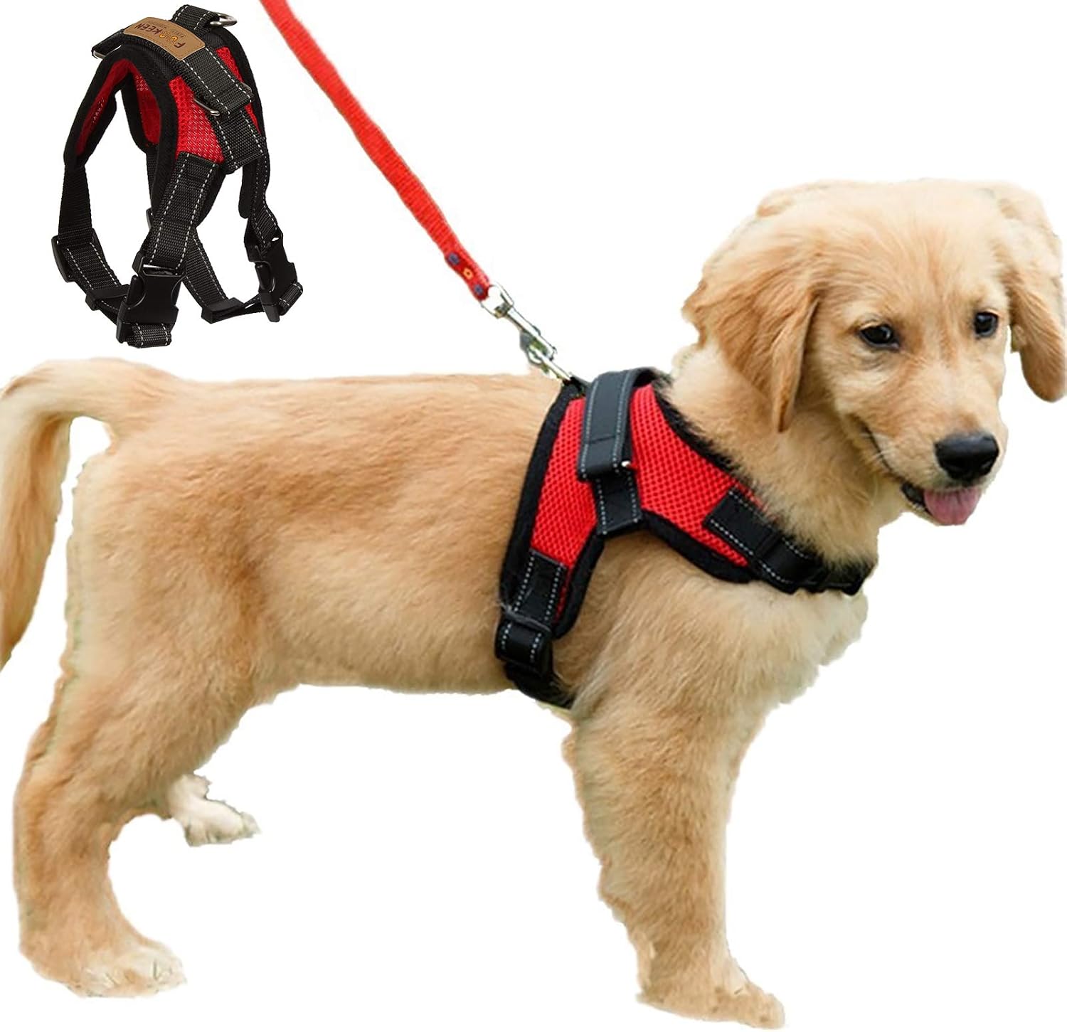 Hundegeschirr Mit Praktischem Griff – Verstellbar, Weich & Leicht | Für Kleine, Mittlere & Große Hunde | Blau, Größe L