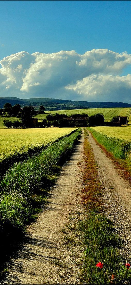 PeelitStickit, Beautiful Nature Wall Murals, ID-3344, vinyl