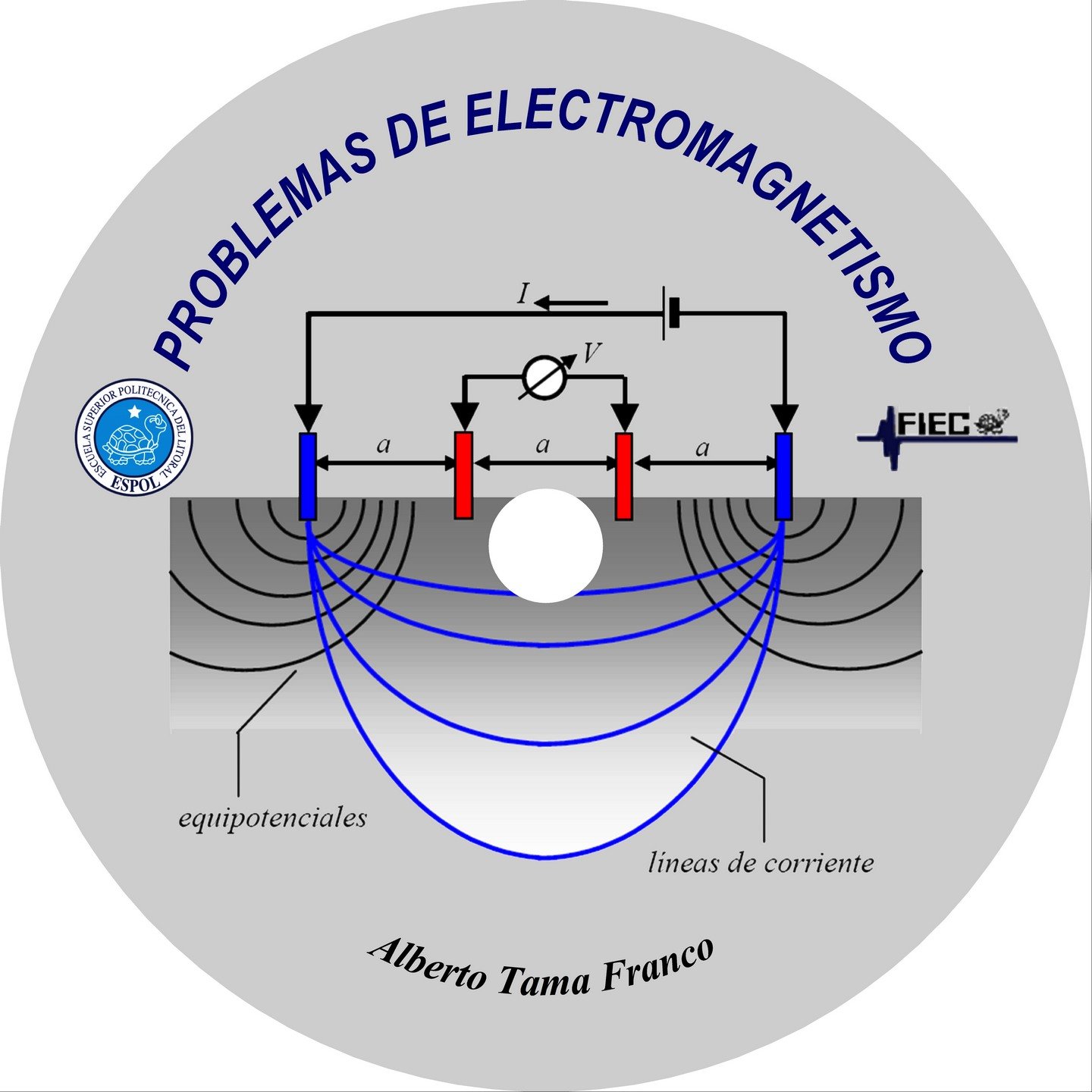 Problemas de Electromagnetismo (Serie Nuestros Valores - ESPOL): Presenta la solución de un número importante de atractivos y prácticos problemas propuestos ...