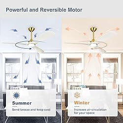 BvenuBigLite 52 Ceiling Fan with Light: White and