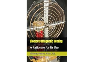 Bioelectromagnetic Healing: A Rationale for Its Use