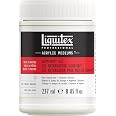 Liquitex Professional 16oz Gloss Fluid Medium - Acrylic Painting Medium For Artists (Assorted Colors)