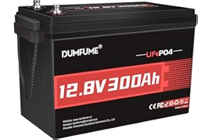 Dumfume 12V 300Ah Lithium LiFePO4 Battery,200A BMS 3840Wh Rechargeable Lithium Iron Phosphate Battery for Solar Energy Storage,Backup Power,RV,Camping