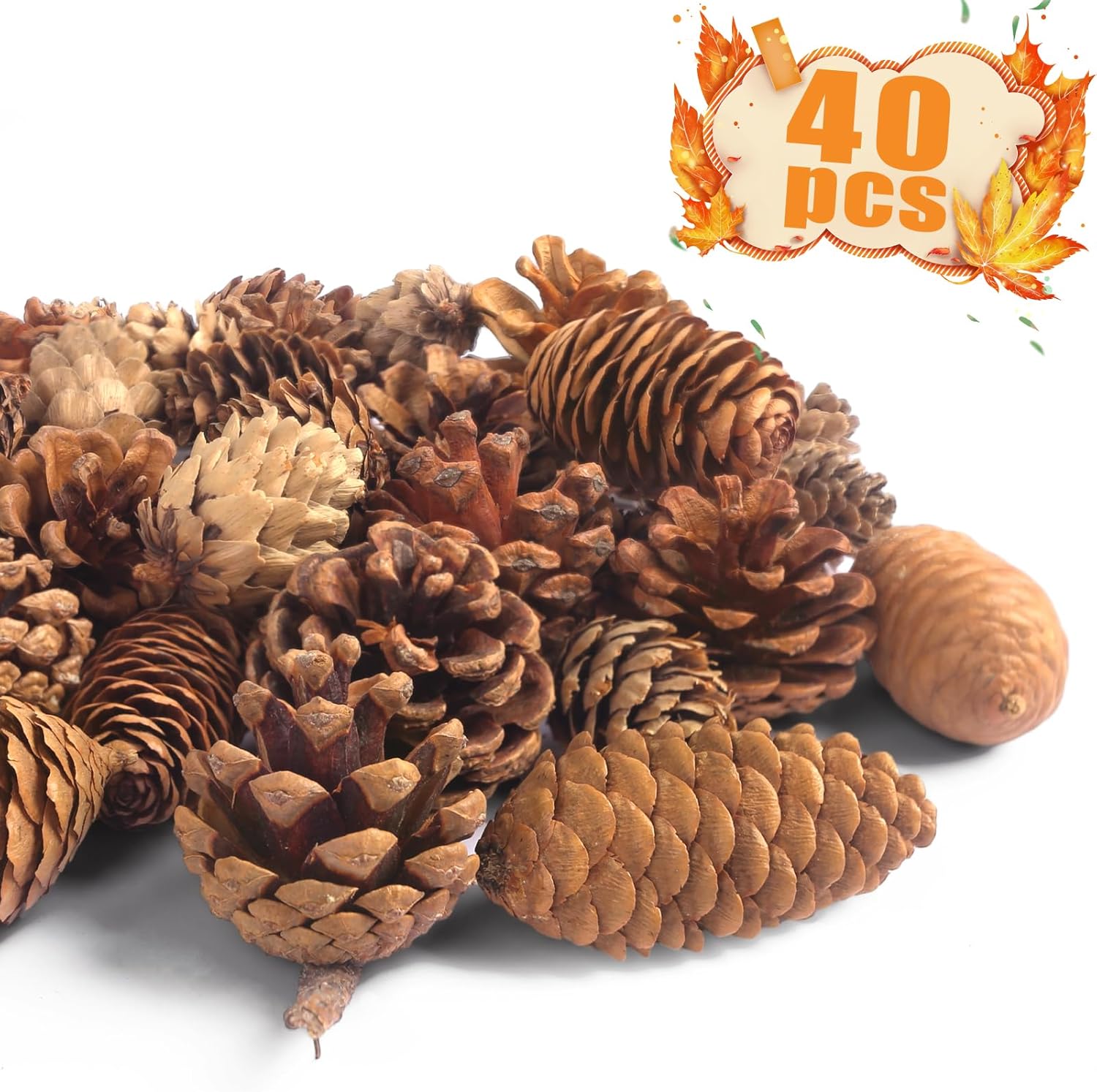 Vase Fillers - JOHOUSE 40PCS Natural Pine Cones Bulk, Pinecones Decorations Pine Cone Ornaments for Crafts Thanksgiving Christmas Wreath Table Bowl Decor